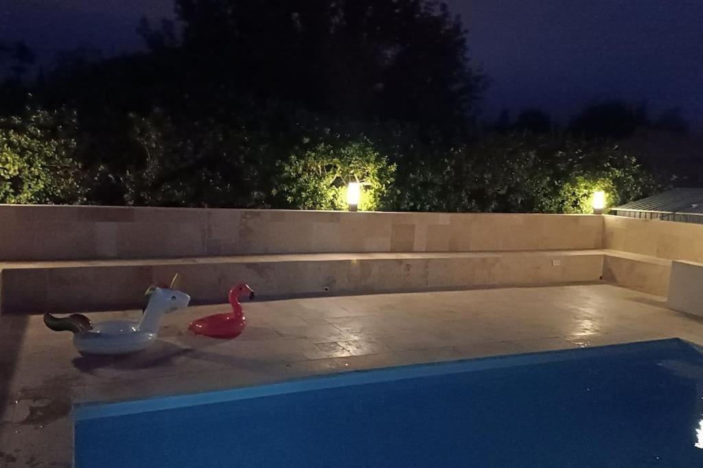 Charmant Studio Avec Piscine Villemoustaussou エクステリア 写真